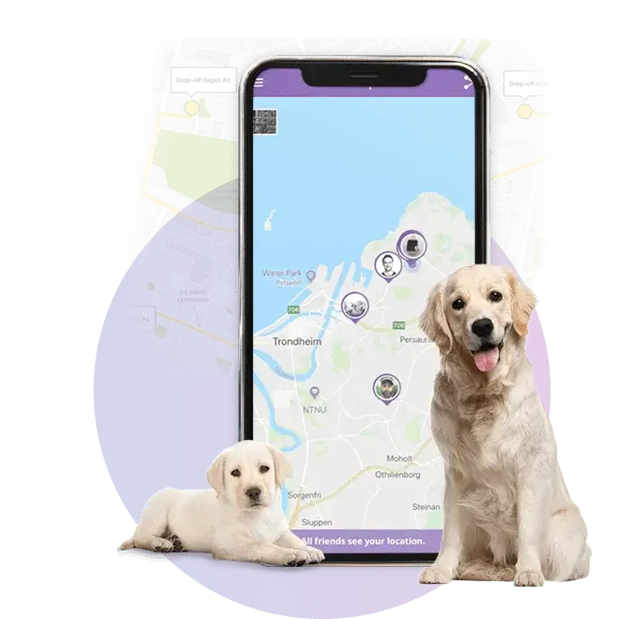 dog-walking-app-development-dubai 